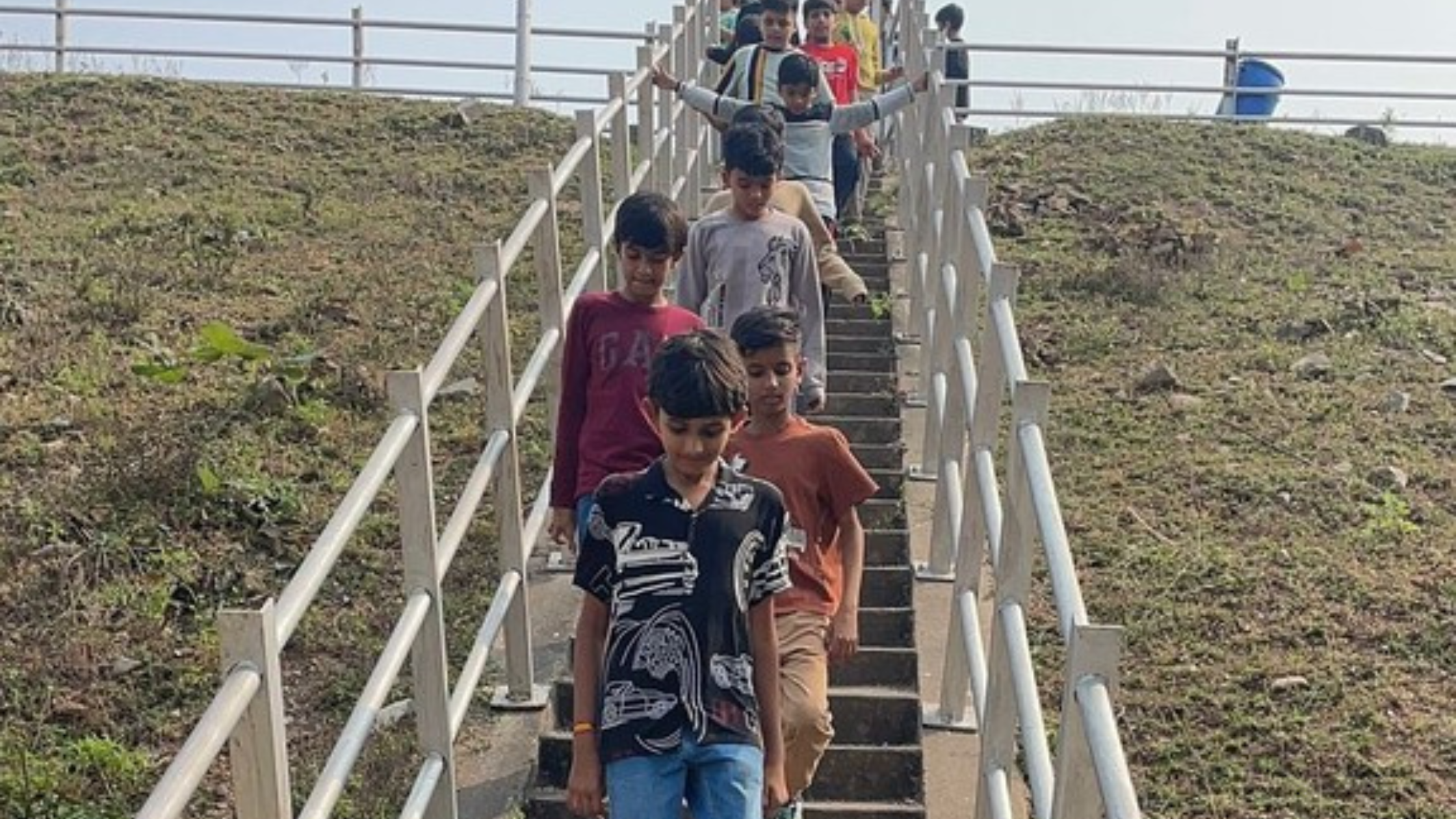 Polo Forest Std 5
