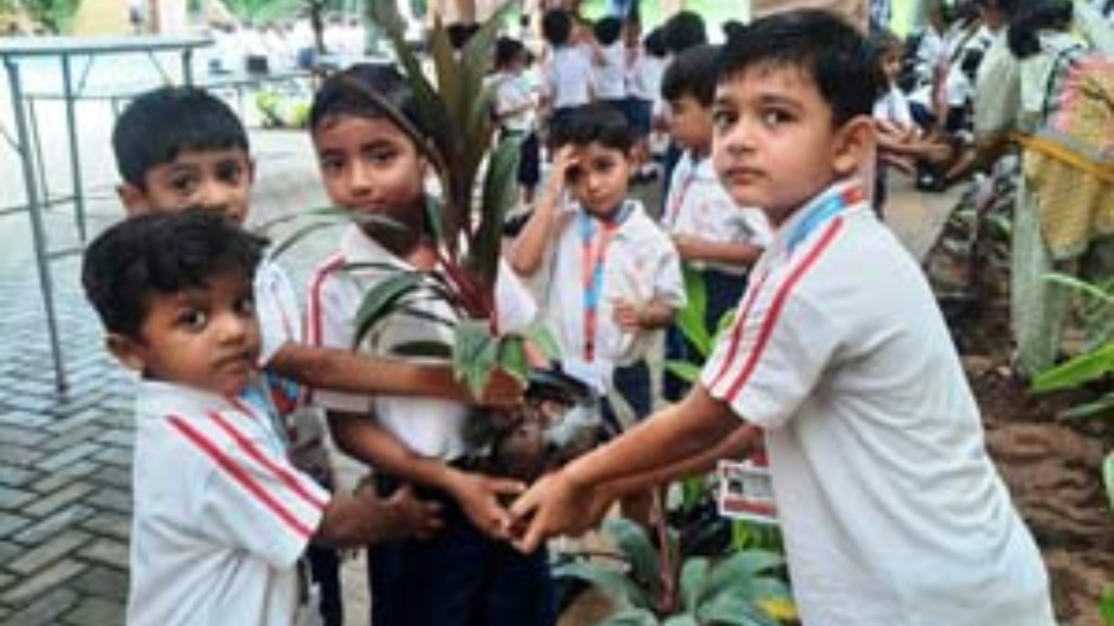 Van Mahotsav