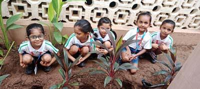 Van Mahotsav